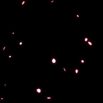 左上から光る花びらが落ちる桜吹雪のループ動画【正方形ビデオ】