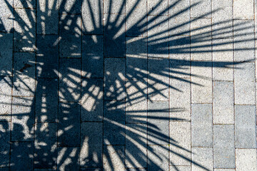 View from above of a cobbled street in a resort town with a group of shadows from a palm tree with no people around.