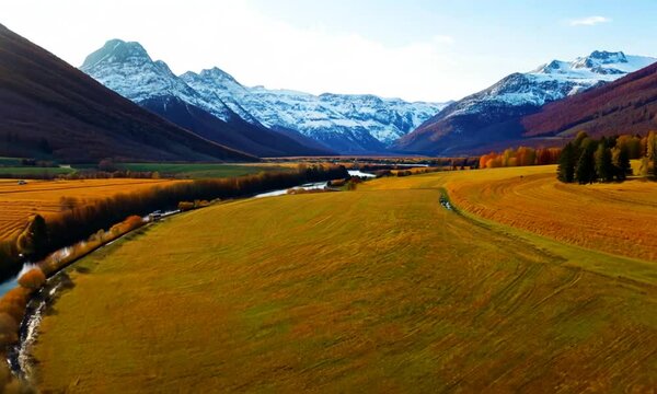 AERIAL. Picturesque drone shot of autumn-colored grass and distant snow-capped mountain peaks. Flying over fields along a river leading to the snow-capped Alps
