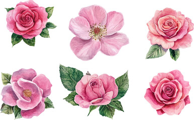 Fototapeta premium Romantic Watercolor Spring Flowers Clipart