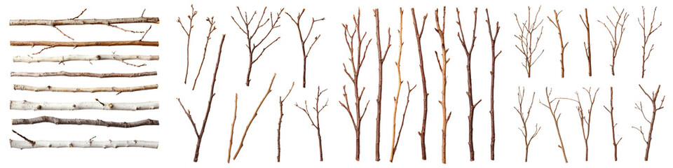 Fototapeta premium A diverse assortment of weathered bare wooden twigs and branches arranged in a still life composition showcasing the natural textures and shapes of these organic materials
