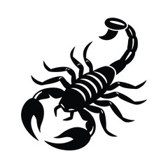 Black Scorpion Vector Illustration Isolated on White Background