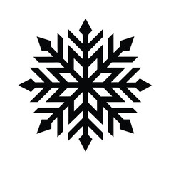 Winter holiday design features a vector snowflake illustration with cold ice crystals on a black background