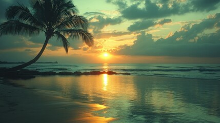 Serene sunset over tranquil ocean, palm tree silhouetted against vibrant sky