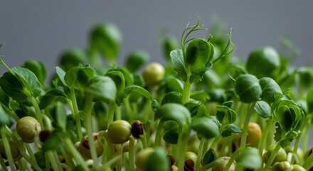 Vibrant green sprouts freshly growing upward. AI Generated