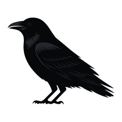 Obraz premium Bird silhouette vector illustration for Logo and T-Shirt design