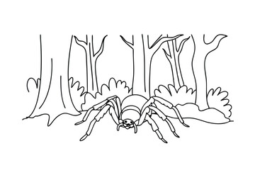 Forest Spider Coloring Page Arachnid, Nature, Insects, Woods, Halloween