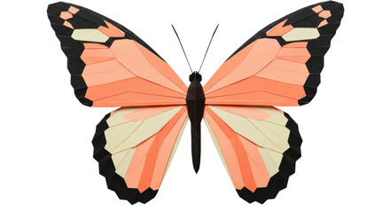 Isolated Origami Butterfly