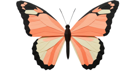 Isolated Origami Butterfly