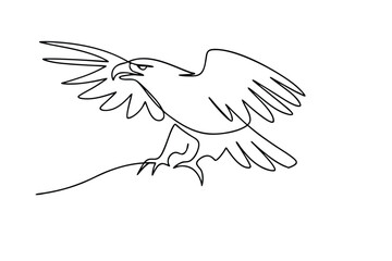 Obraz premium Majestic Eagle Line Art Soaring Bird, Freedom, Power, Nature