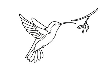 Elegant Hummingbird Line Art Nature, Bird, Flight, Branch, Leaves