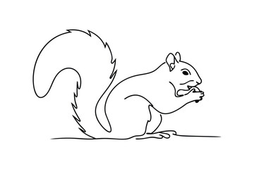 Line Art Drawing of a Squirrel Eating a Nut