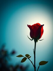 Obraz premium Shadow Silhouette Red Rose Against a Clear Blue Sky - Floral Wallpaper Background