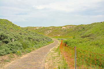  Hiking and cycling path t in the Dunes of Scheveningen, The Hague, The Netherlands 