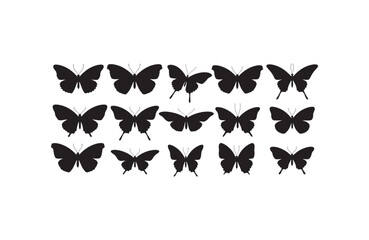 Obraz premium Black Silhouette Butterfly Shadow Art