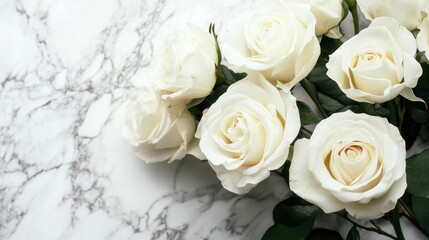 Elegant Bouquet of White Roses on Marble Background