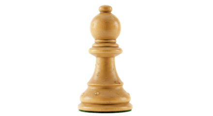 Isolated Wooden Chess Bishop Piece