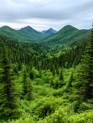 Obraz premium Lush green valley nestled between majestic mountains under a cloudy sky