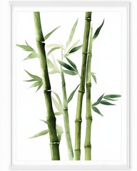Watercolor Bamboo Stalks Minimalist Botanical Illustration in Light Green