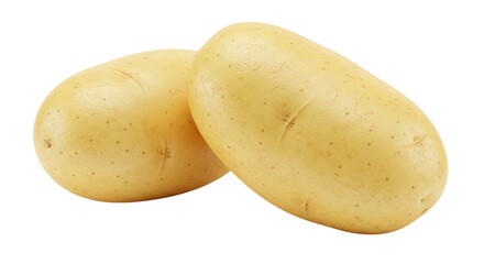 Isolated Two Potatoes on White Background