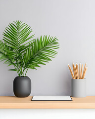 Minimalist desk setup with tablet, pencils, and palm plant
