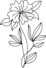 hand drawn flat design simple flower 
