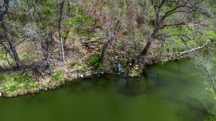 Obraz premium river in the forest