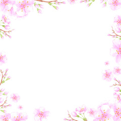 Hand drawn watercolor cherry blossom branch frame border. Illustration of flowers isolated on white background. Can be used for postcard, album, scrapbook and other printed products.