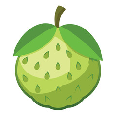 custard apple fruits vector art-illusion 