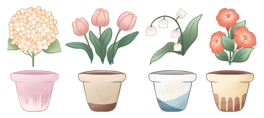 Collection with flowers in ceramic pot, white background, colorful illustration