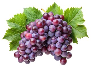 Fototapeta premium A Bunch of Ripe Red Grapes with Lush Green Leaves Isolated on White Background