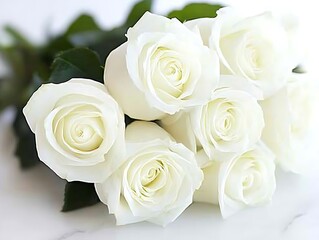 Obraz premium A beautiful close up photograph of white roses on display
