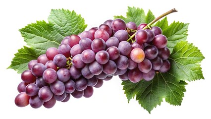 Fototapeta premium A Bunch of Ripe Red Grapes with Lush Green Leaves Isolated on White Background