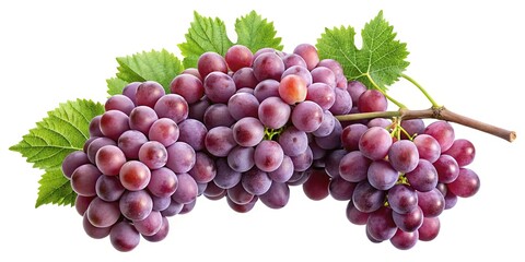 A bunch of fresh red grapes with green leaves isolated on white background healthy fruit nutrition