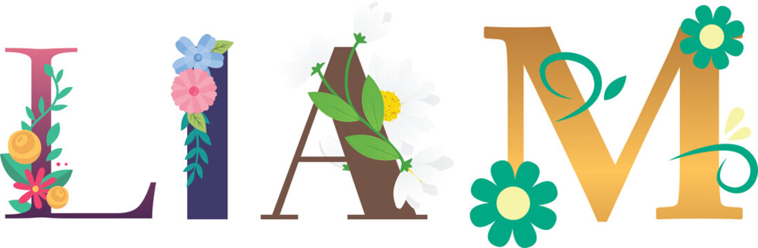 Text Typography Emboidered Of Baby Boy Name liam