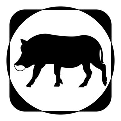  wild boar icon