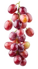 Fototapeta premium A Bunch of Ripe Red Grapes on the Vine Isolated on White Background