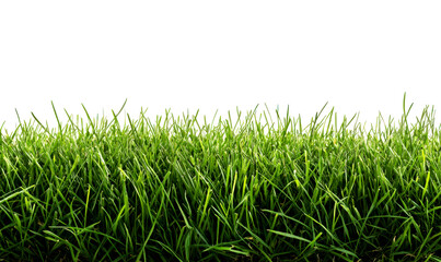Fototapeta premium Lush Green Grass Texture for Natural Isolate on White Background, cutout, png