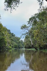 Kinabatangan River nature reserve in Borneo, Malaysia