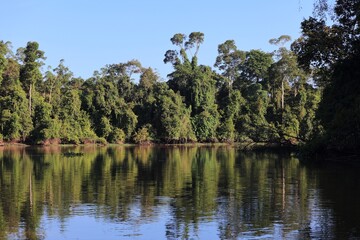 Kinabatangan River oxbow lake in Malaysia