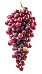 Fototapeta premium A bunch of ripe red grapes hanging isolated on white background