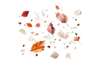 Fliegende bunte Herbstbl&auml;tter und Bl&uuml;tenbl&auml;tter PNG mit transparentem Hintergrund

