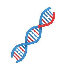 DNA double helix structure in flat design style showcasing vibrant colors vector illustration