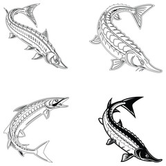 Sturgeon fish bundle line art and illustrator eps