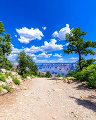 Scenic trail leading to a vast canyon under a vibrant blue sky
