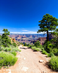 Scenic trail overlooking vast canyon under a vibrant blue sky