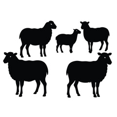 set of sheep collection of silhouettes of black vector