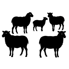 set of sheep collection of silhouettes of black vector