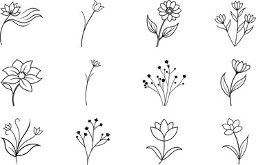 Simple Line Art Floral Designs Botanical Illustrations, Spring Flowers