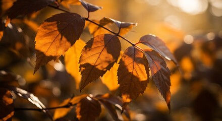 Golden autumn leaves glow warmly backlit. AI Generated